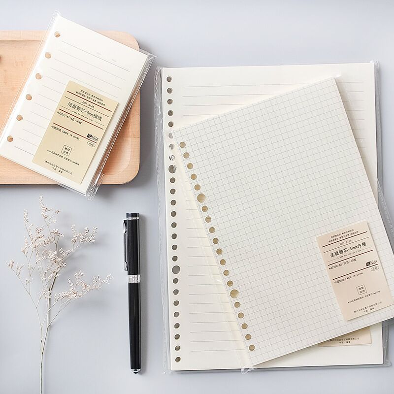 A5 B5 خط شبكة 20 ثقوب فضفاضة و - مراجعة A5 Spiral Dotted Grid Notebook وسعره