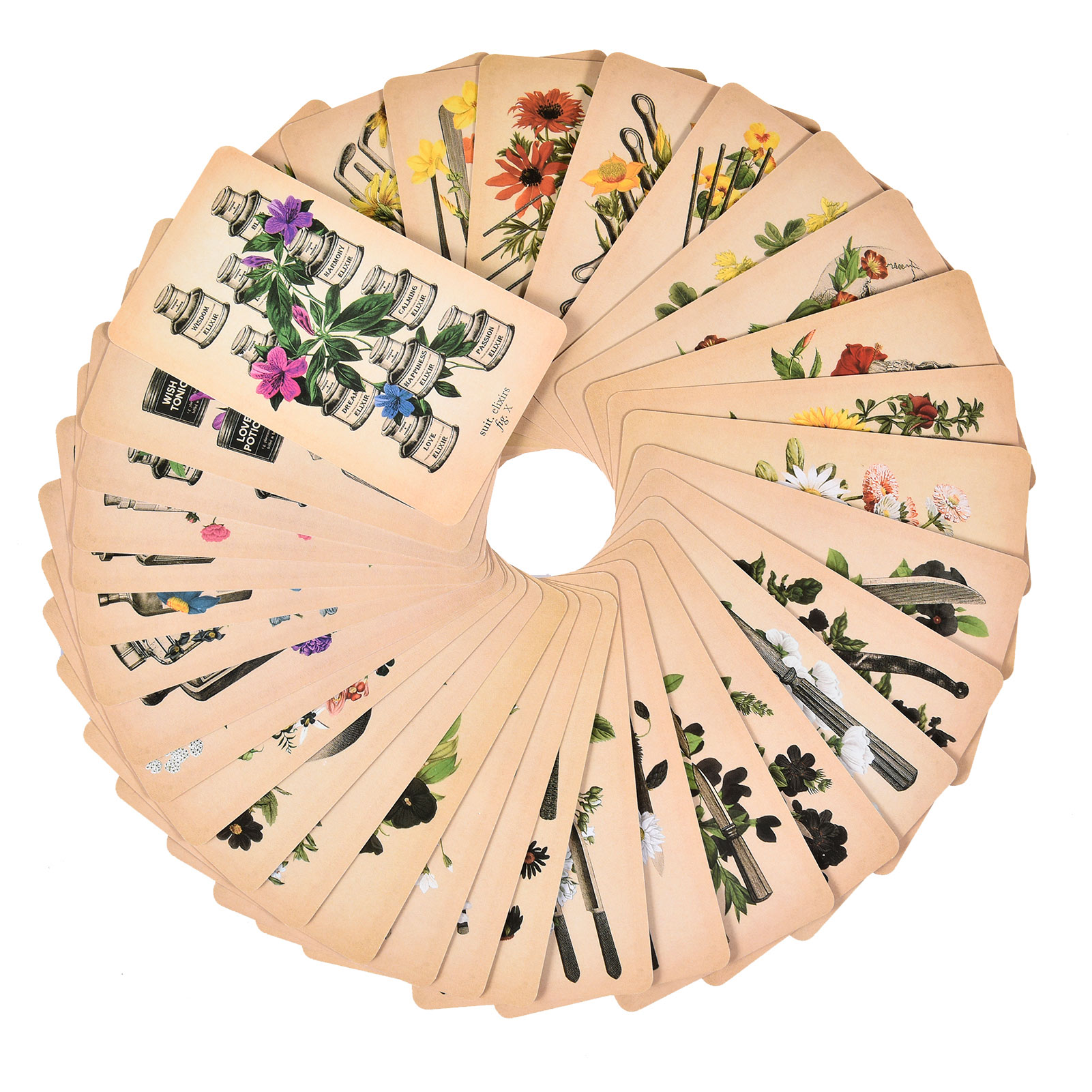 بطاقات تاروت التشريح العتيق -  - مراجعة Tarot Deck With Guidebook وسعره